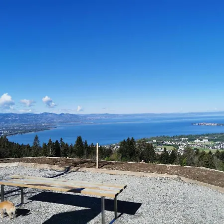 アパート 7 Heaven